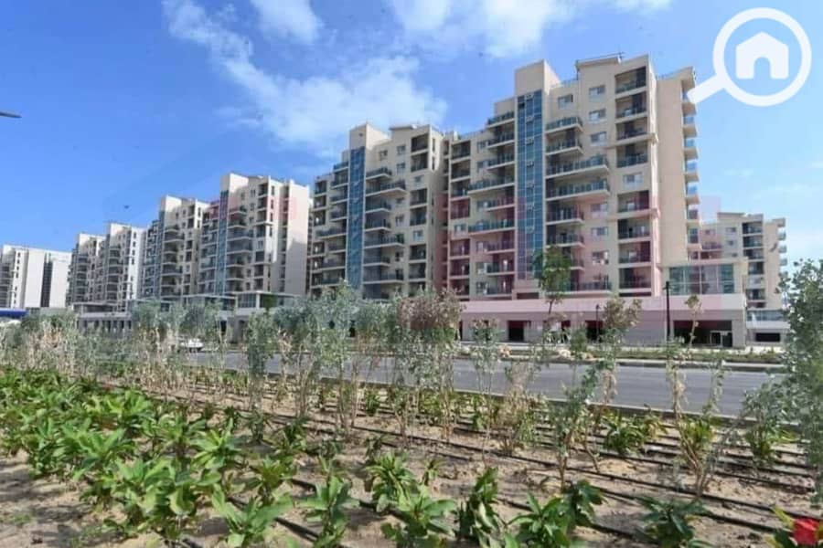 4 WhatsApp Image 2025-05-29 at 5.06. 40 PM (1). jpg