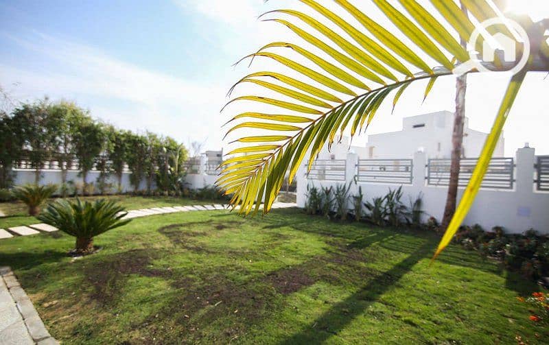 6 كليوباترا-سكوير-6-أكتوبر-1-800x503-1. jpg