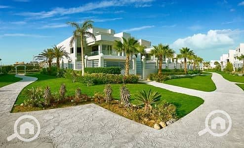 9 35306900-400x300. jpeg