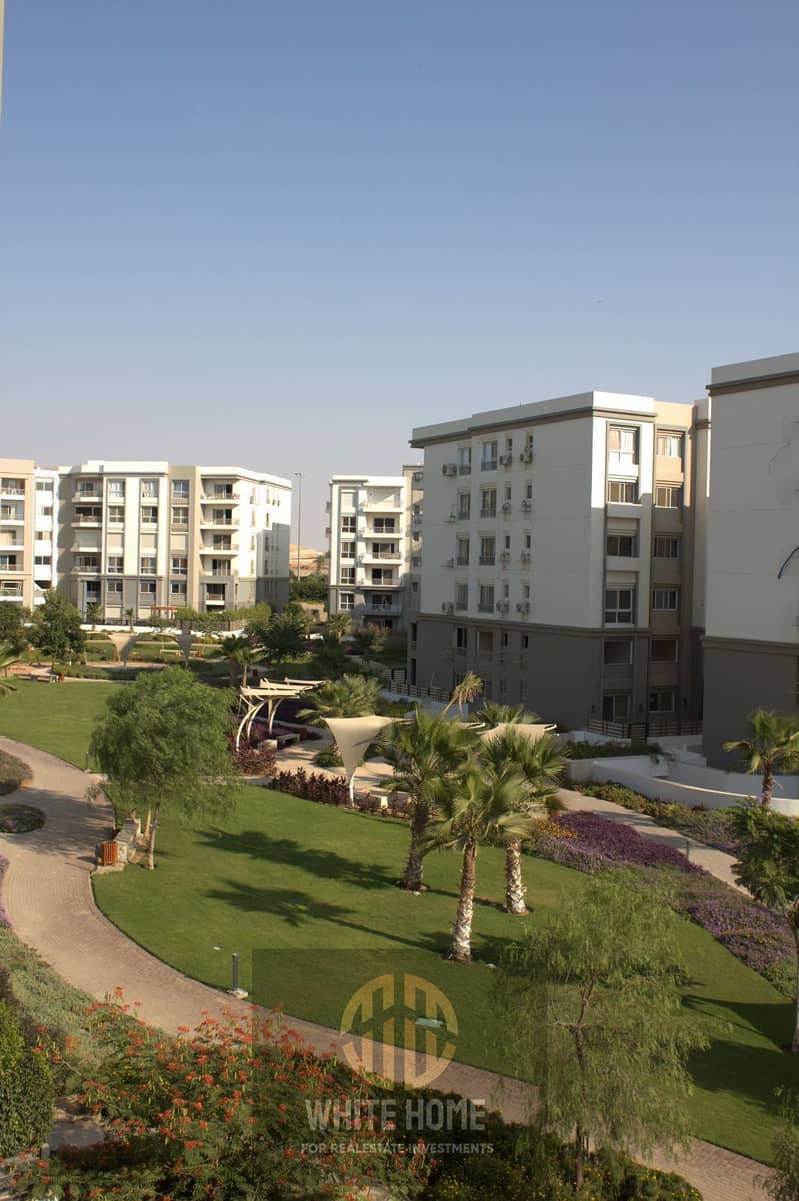 16 97d95689-319b-49a2-9d68-c2e1e94892cd. jpeg