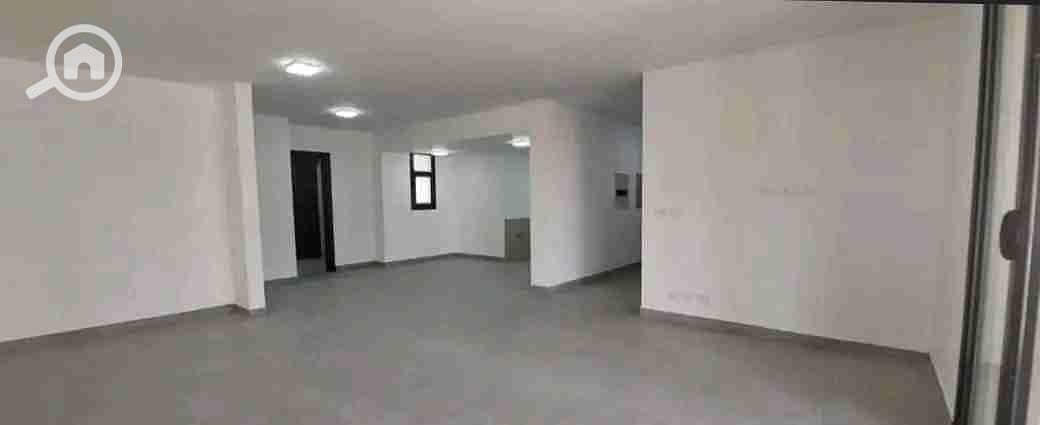 5 1766671466467. jpg