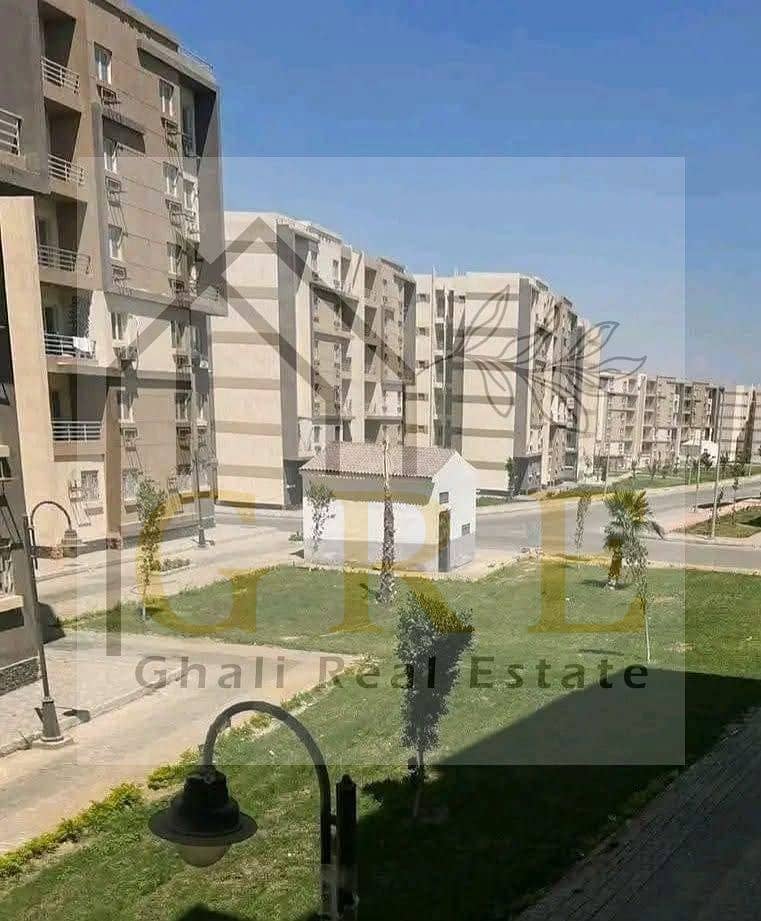 6 597625788_2894935214050475_7497476031742888142_n. jpg