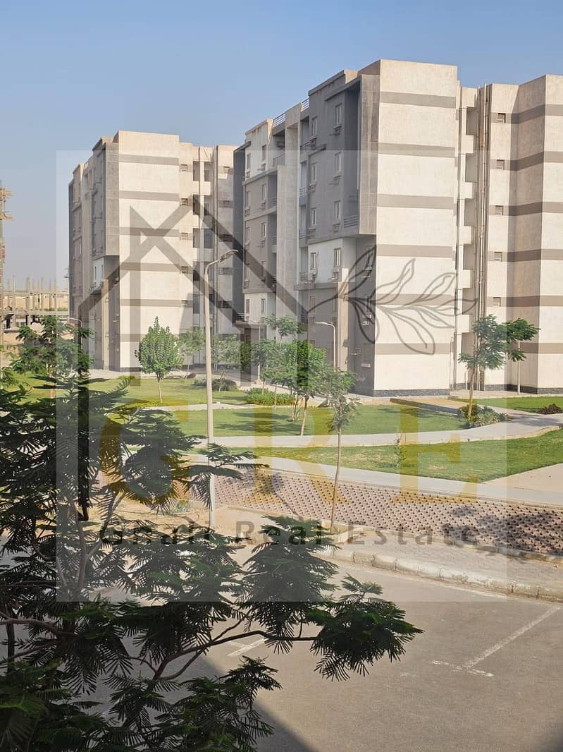 9 589393466_10166091437254989_523984088396356690_n. jpg