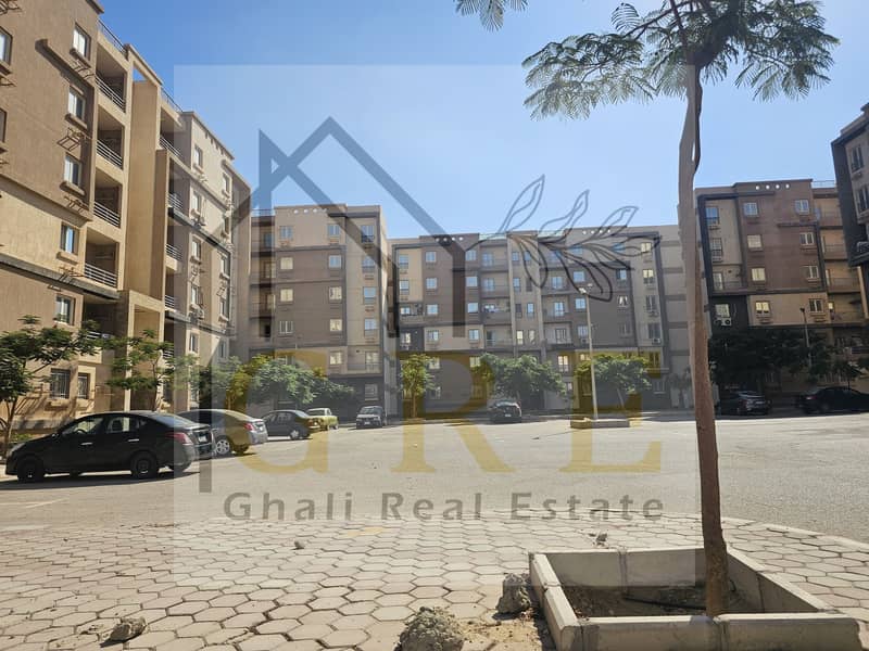 10 589200438_10166091440284989_7103781473029688095_n. jpg