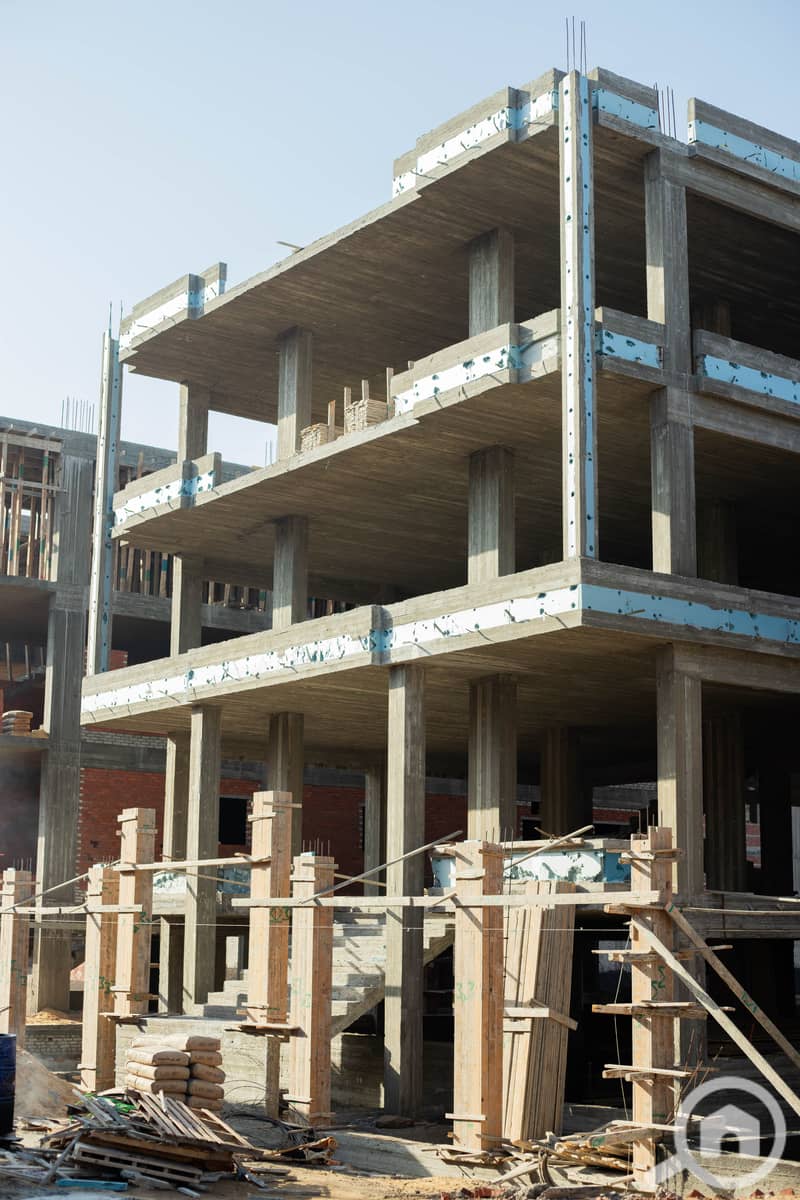 7 IMG_8048-Enhanced-NR. jpg