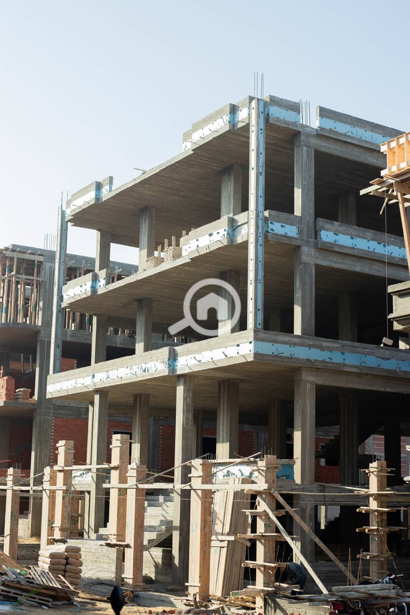 8 IMG_8049-Enhanced-NR. jpg