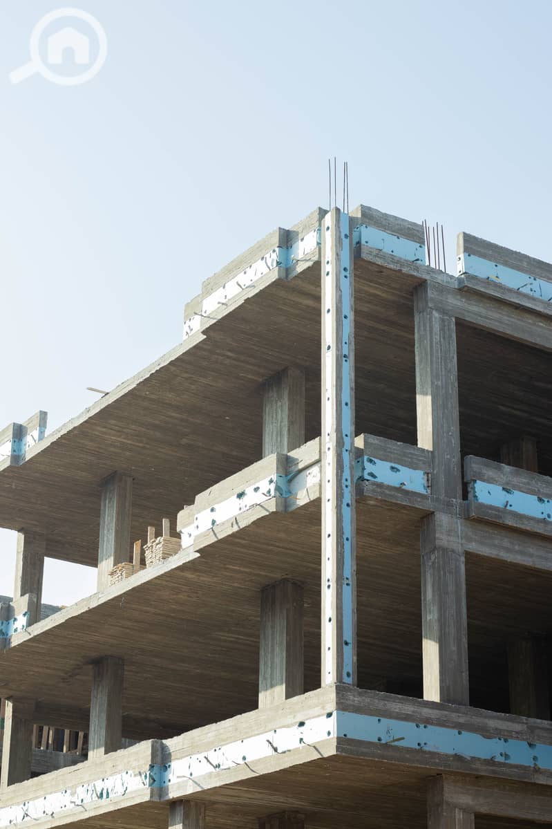 10 IMG_8052-Enhanced-NR. jpg