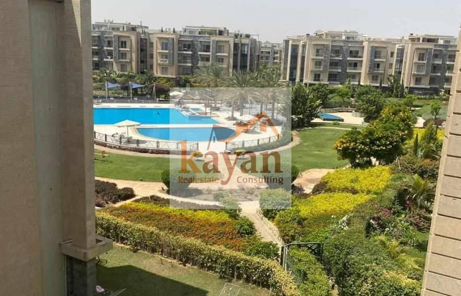 7 8454545-9be86o. jpg