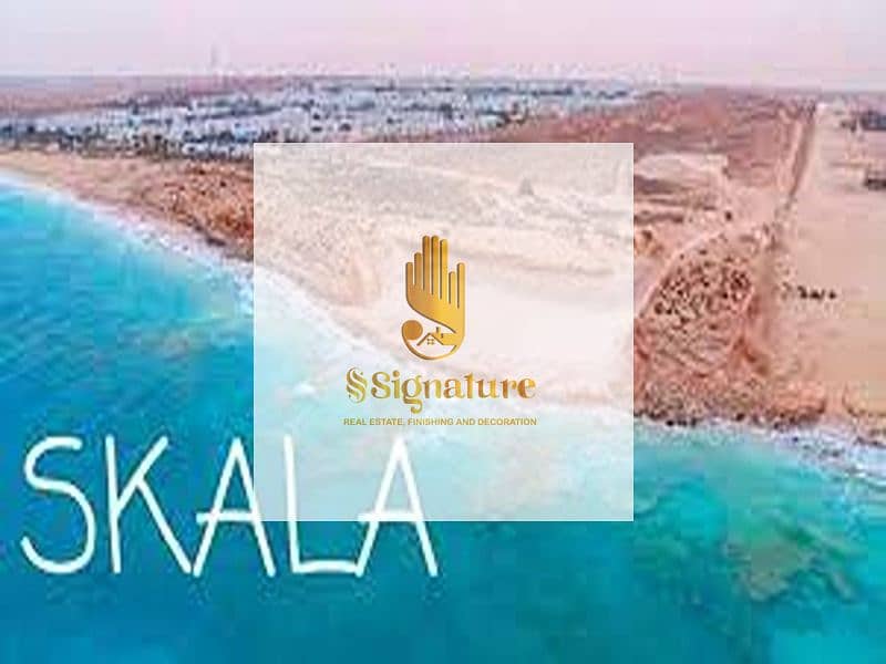 2 download (1) - Copy. jpg