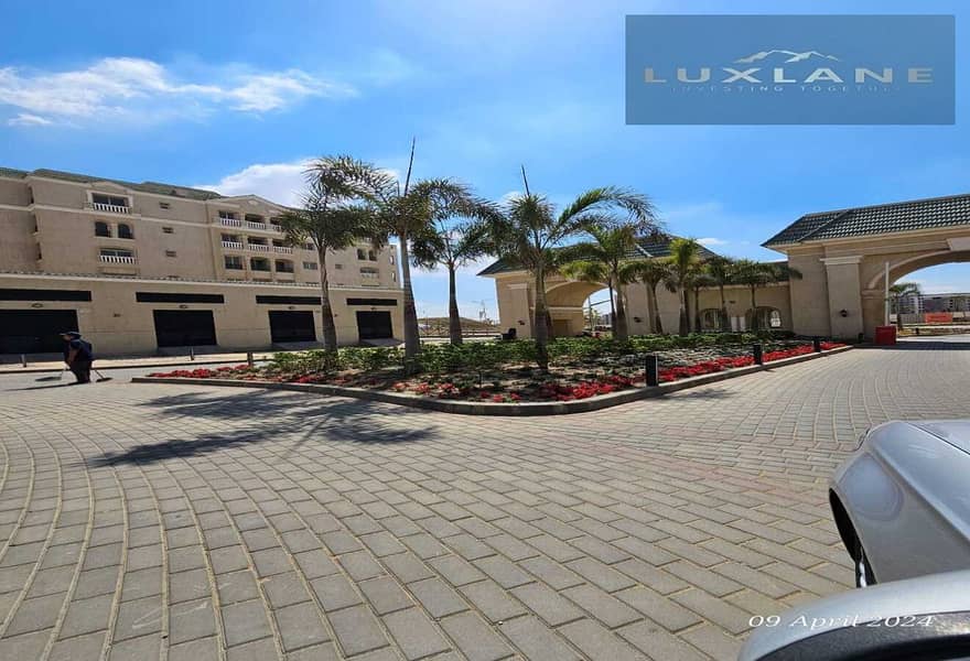 12 7e579a21-2fc9-41ae-a3c0-55669b4412d4. jpg