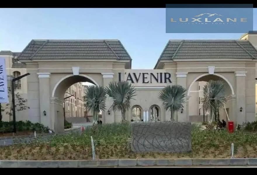 6 42264592-923d-4487-81f1-d7eb5228b2b0. jpg