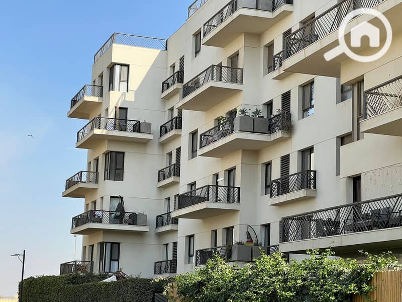 12 WhatsApp Image 2025-12-25 at 17.17. 02 (1). jpeg