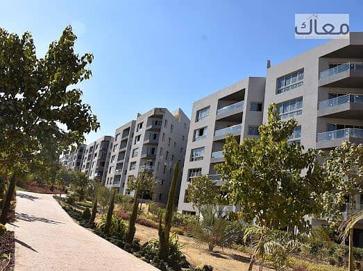 2 WhatsApp Image 2025-07-10 at 10.51. 58 AM (1). jpeg