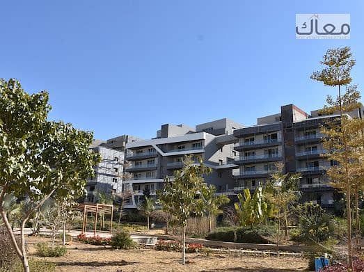 12 WhatsApp Image 2025-06-25 at 10.48. 11 AM (1). jpeg