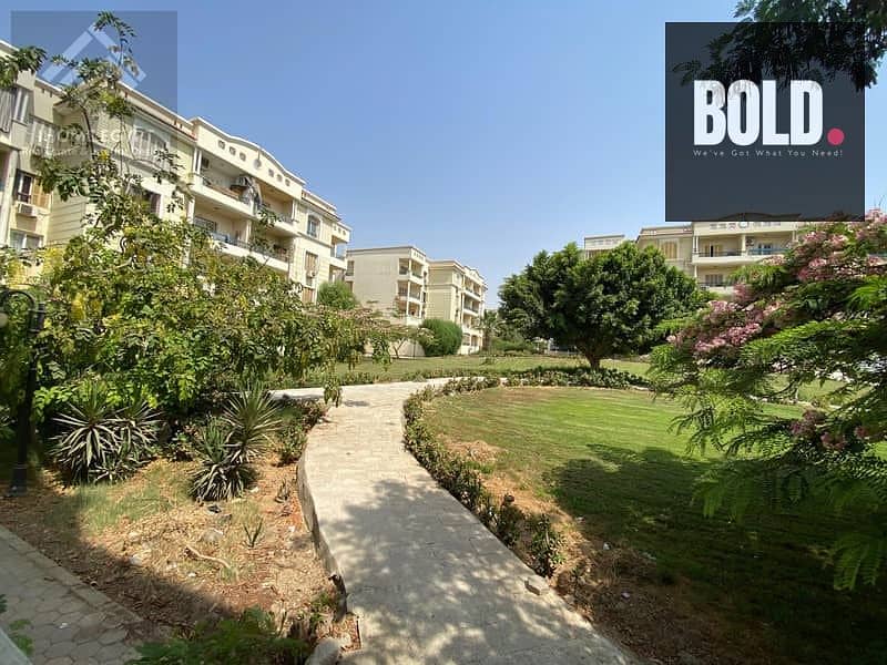 7 32114776-800x600. jpeg