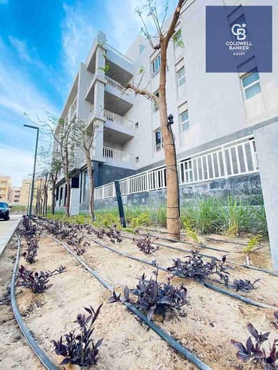 3 Bedroom Flat for Sale in New Cairo, Cairo - 60209. jpg 3 Bedroom Flat for Sale in New Cairo, Cairo - 60209. jpg