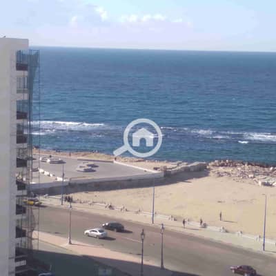 2 Bedroom Flat for Rent in Miami, Alexandria - 1000274453. jpg