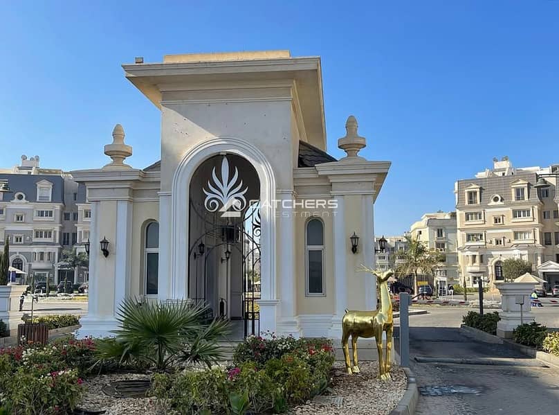 3 556265373_1337691337790586_2203339176824562759_n. jpg