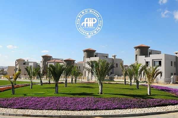 3 depny1w9ghNntPFf9NDP4grnkJiI0N86smqPEKNO. jpeg