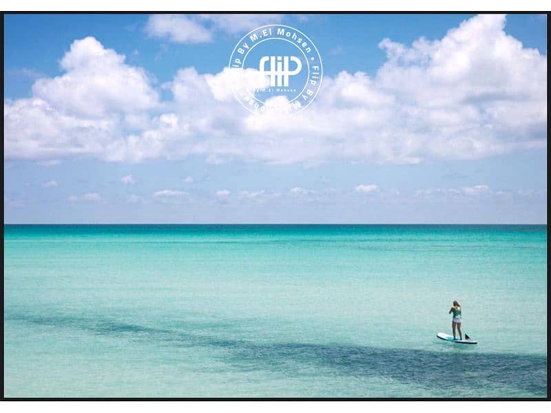 10 WhatsApp Image 2025-04-22 at 15.56. 04_f6210fd8. jpg