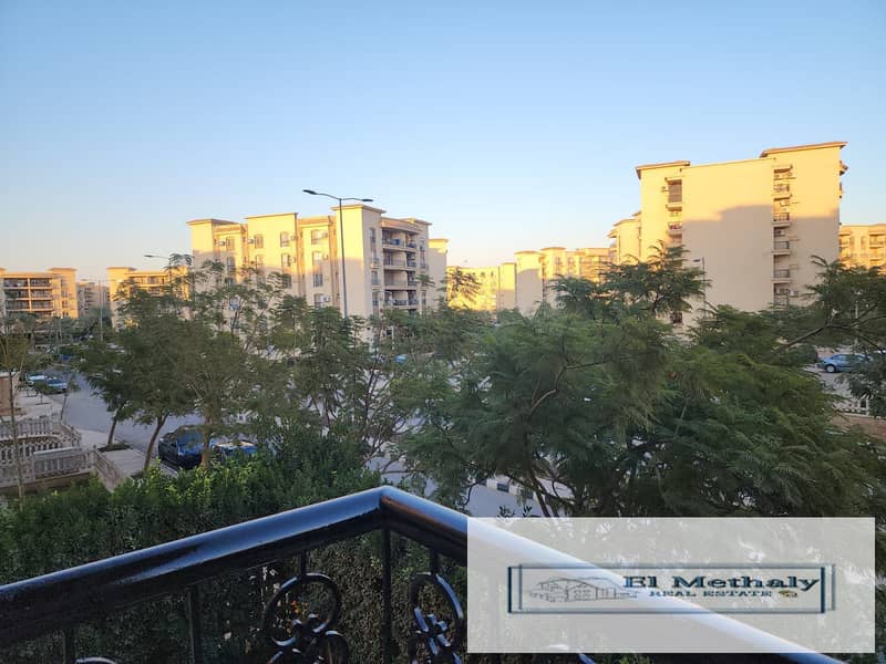 8 8fd115dd-e017-42bf-b1a4-cd1387ec9302. jpg