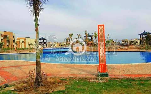 2 Bedroom Chalet for Sale in Ain Sukhna, Suez - WhatsApp Image 2025-03-27 at 3.22. 06 PM. jpeg