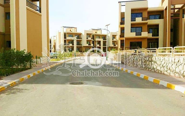 5 WhatsApp Image 2025-03-27 at 3.22. 10 PM (1). jpeg