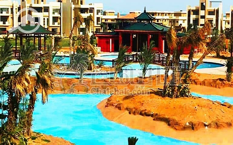 6 WhatsApp Image 2025-03-27 at 3.22. 10 PM (2). jpeg