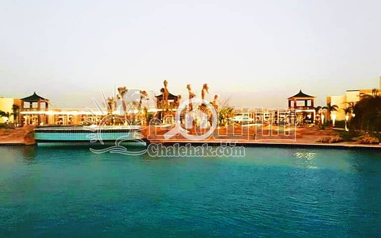 7 WhatsApp Image 2025-03-27 at 3.22. 10 PM (3). jpeg