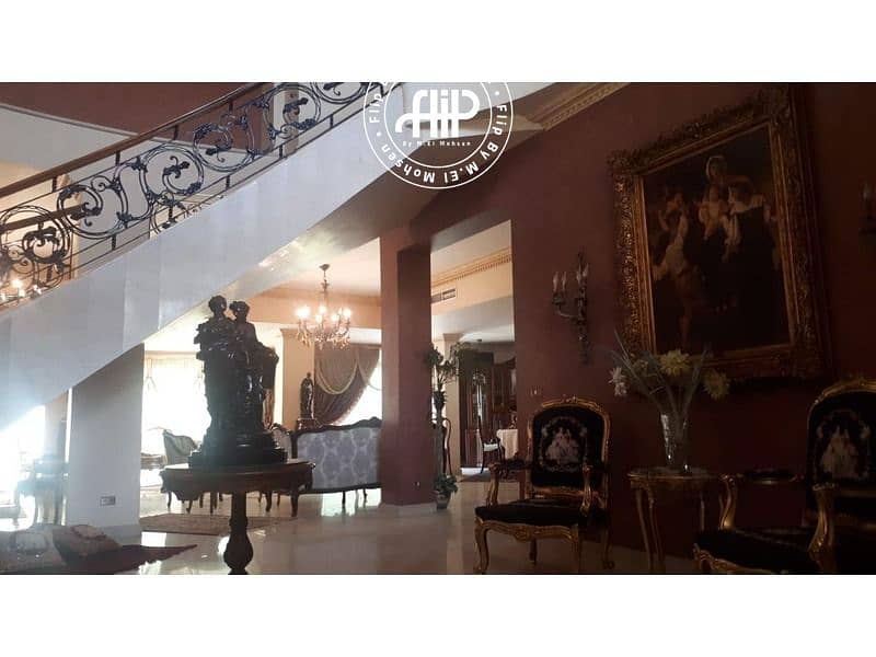 9 WhatsApp Image 2025-04-28 at 12.55. 07 PM (1). jpeg