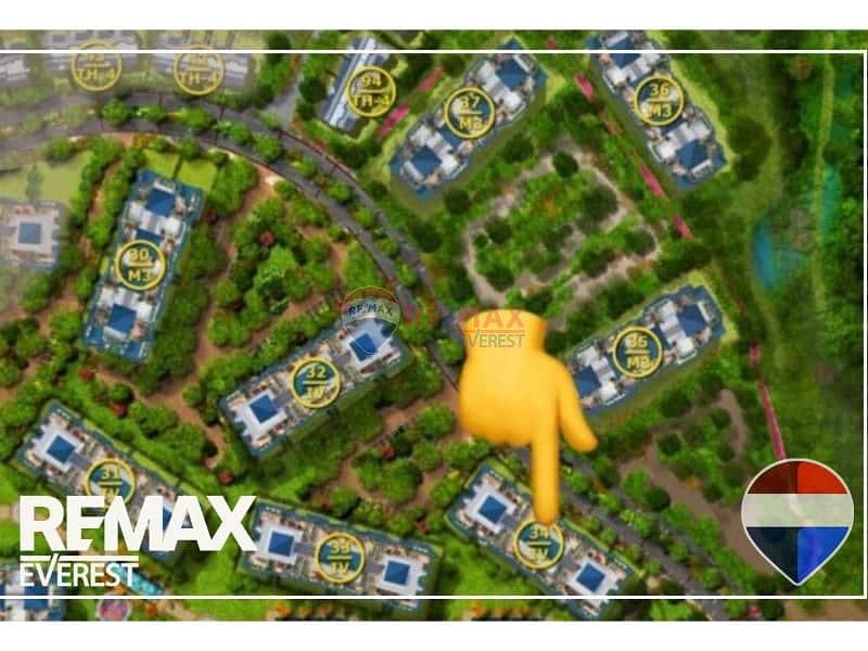 6 original (30). jpg