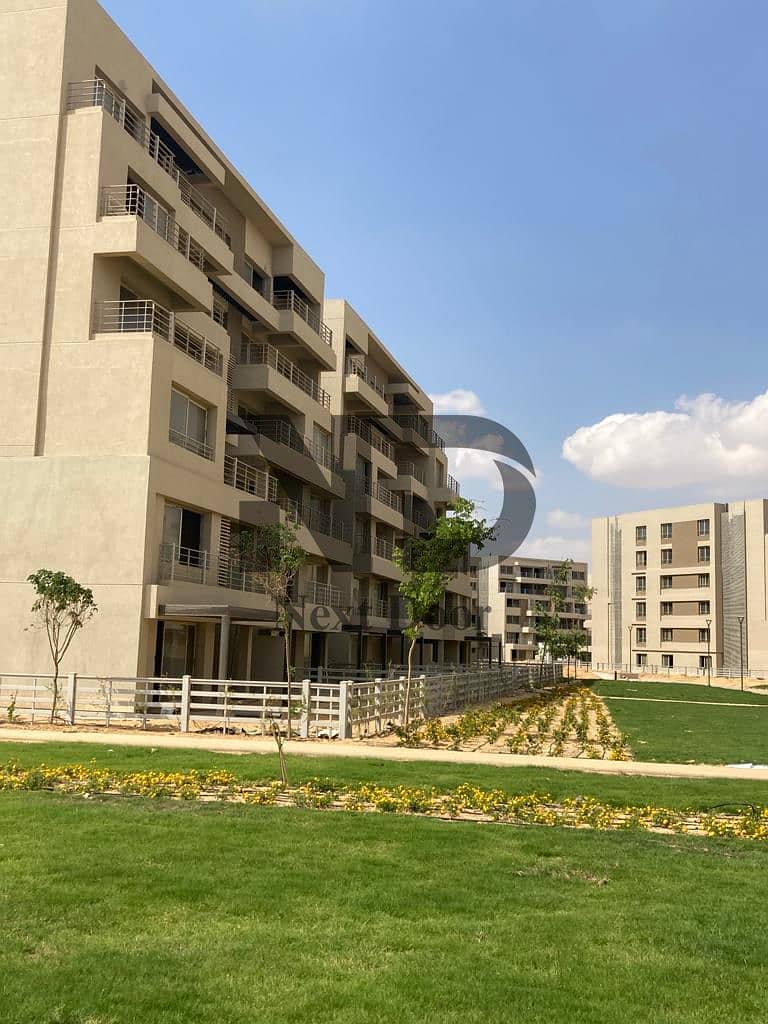 5 600165770_122156243312875599_2860221637663866565_n. jpg