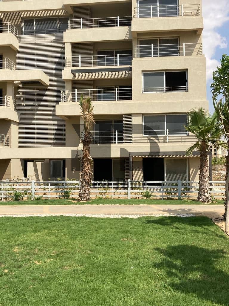 7 600296385_122156243354875599_2439019212208423831_n. jpg