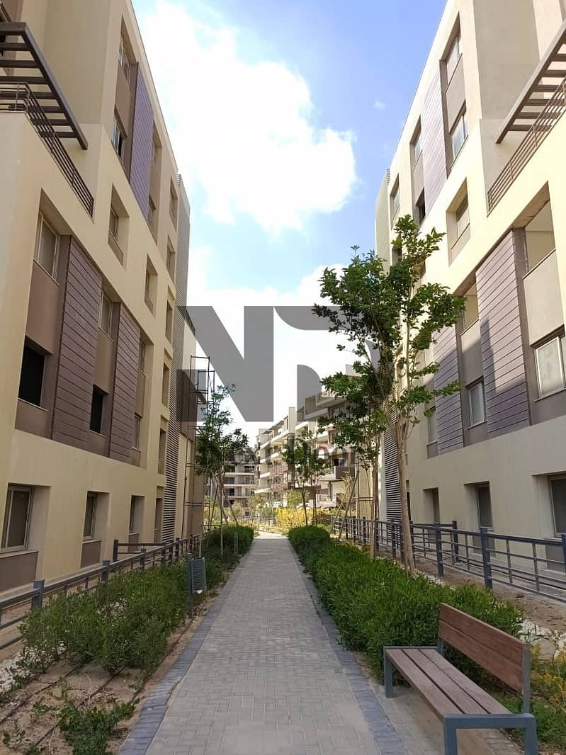 9 602327082_122255416100050752_7499537501108064152_n. jpg