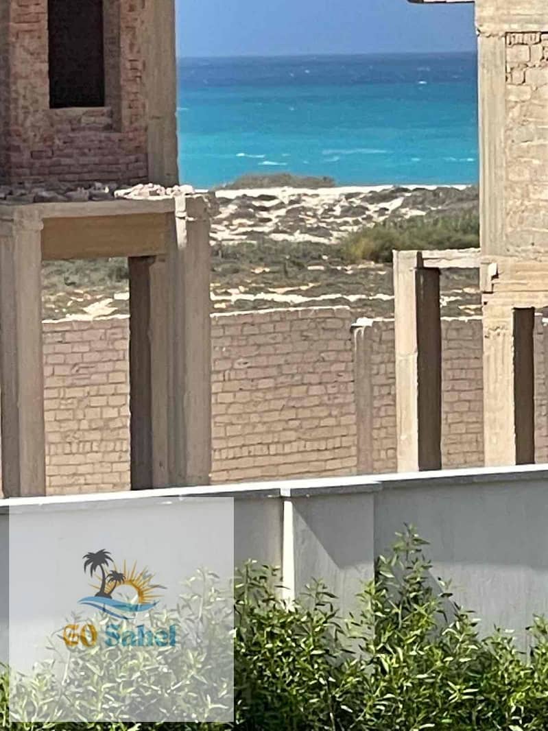 11 791c012d-0509-4329-854d-64e65ddd9f98. jpg