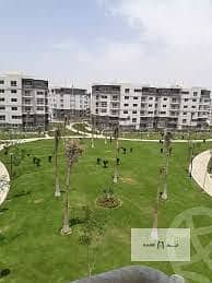 5 download - 2025-12-25T211121.124. jpg