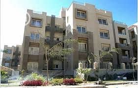 10 WhatsApp Image 2025-12-25 at 10.36. 43 PM (1). jpeg