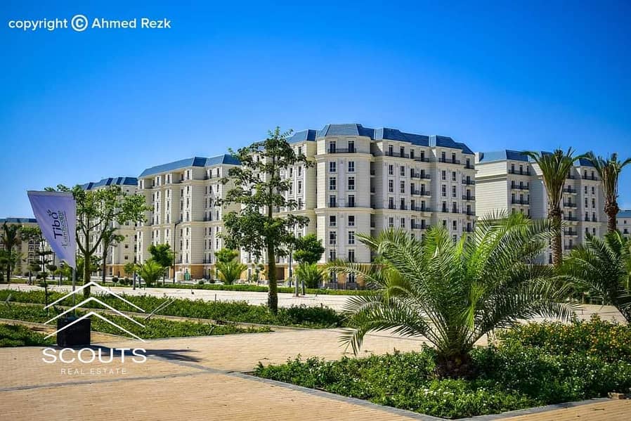 7 459009363_122131428698334336_8035559591888253844_n. jpg