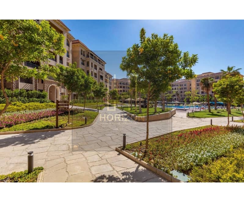 4 2421686148767 (2). jpg