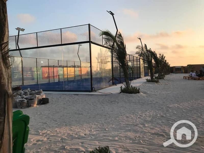 6 photo_2025-02-20_02-19-45. jpg