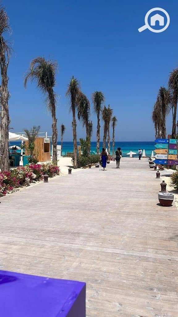 8 photo_2025-02-20_02-19-47 (2). jpg