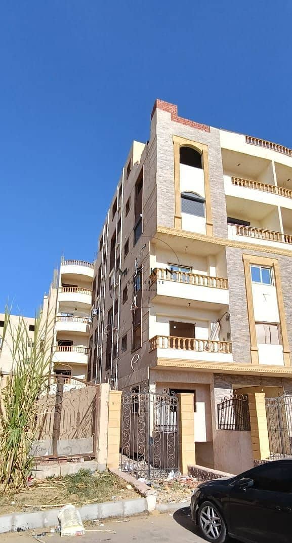 4 IMG_293BA7E15902-2. jpeg