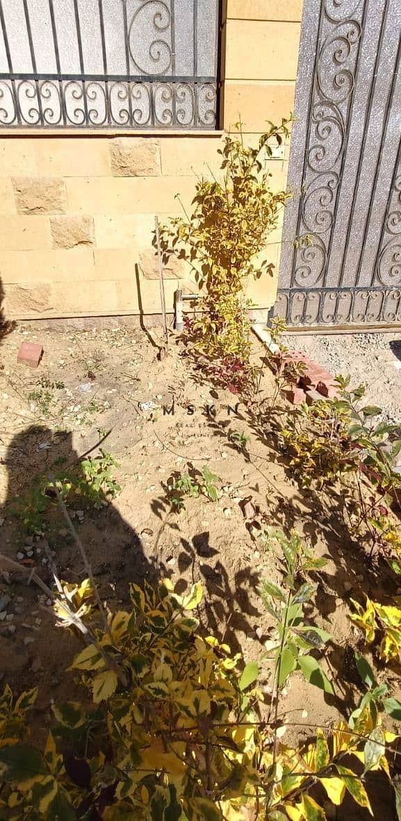 10 IMG_293BA7E15902-13. jpeg