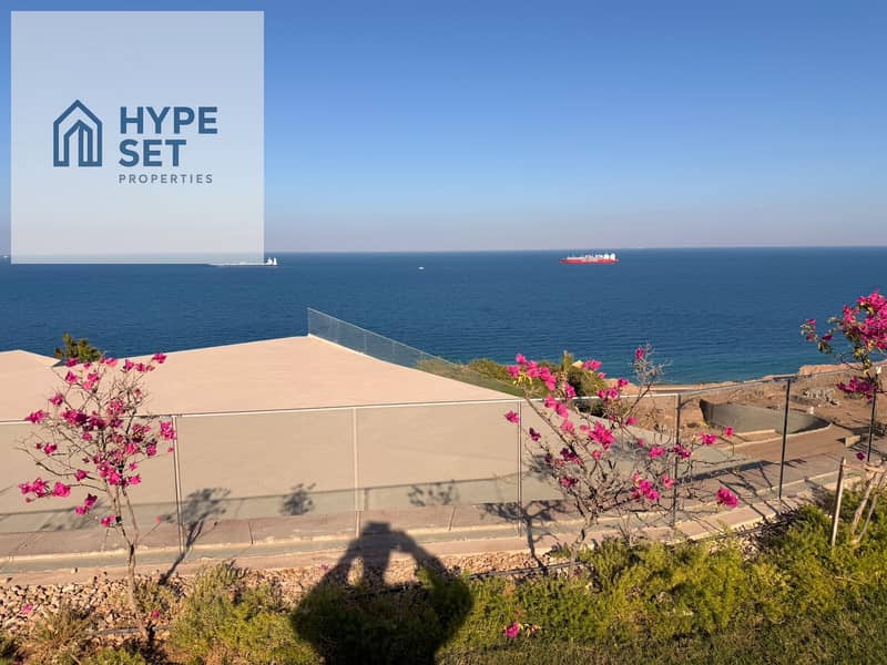 9 10daa9c9-51a9-4b8e-964b-8fdb20b50c80. jpg