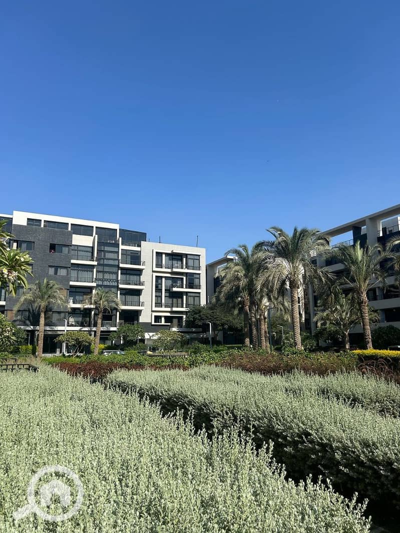 2 photo_2025-03-27_09-20-50. jpg