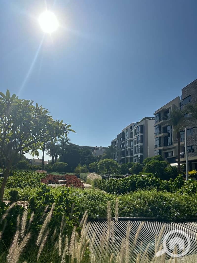 3 photo_2025-03-27_09-20-51. jpg