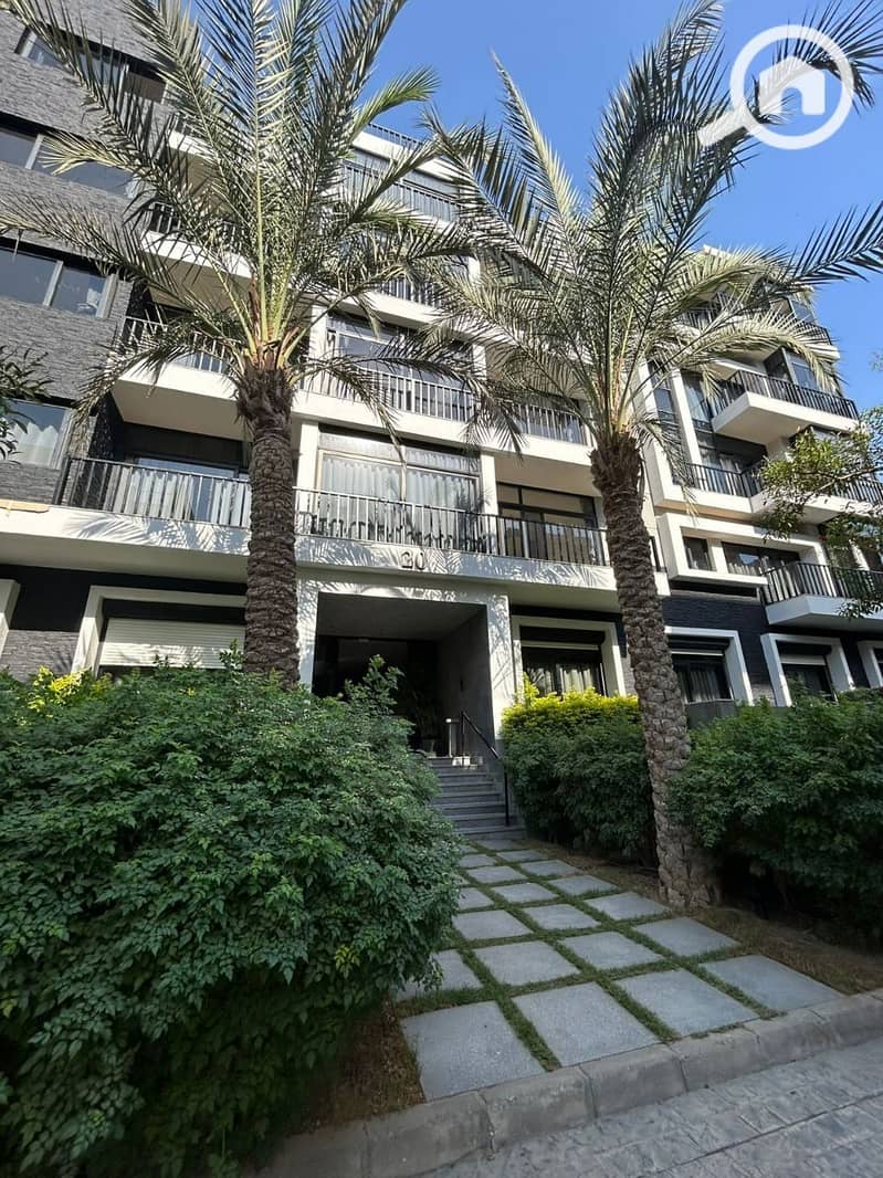 5 photo_2025-02-07_21-29-05. jpg