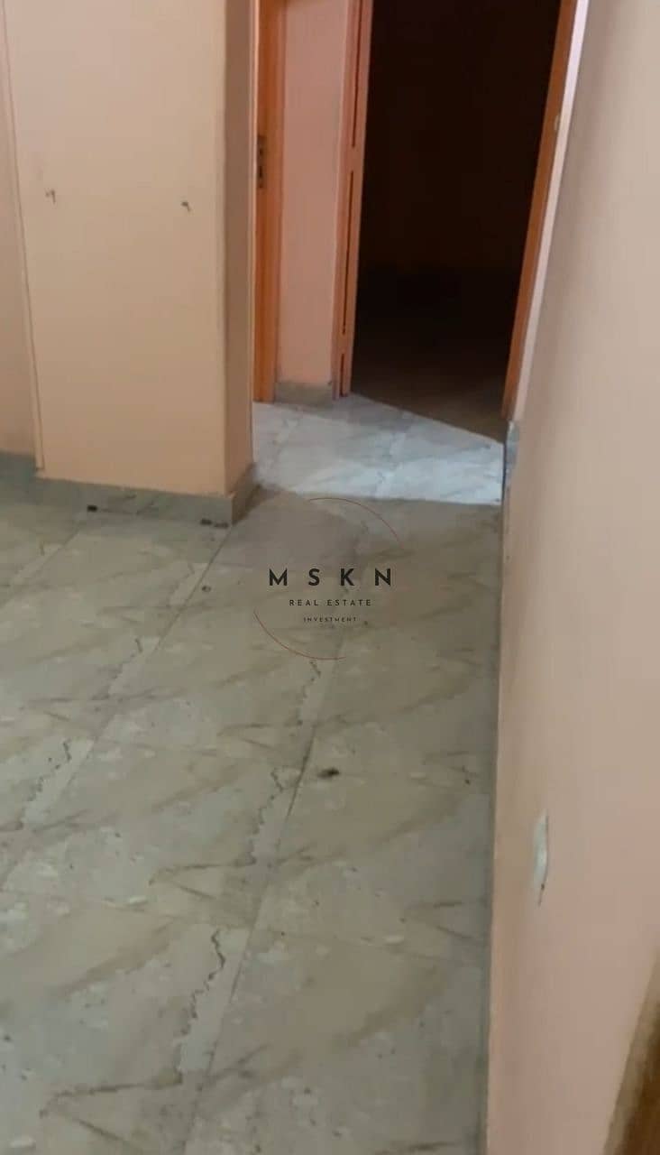 3 photo_2025-12-26 01.44. 33. jpeg