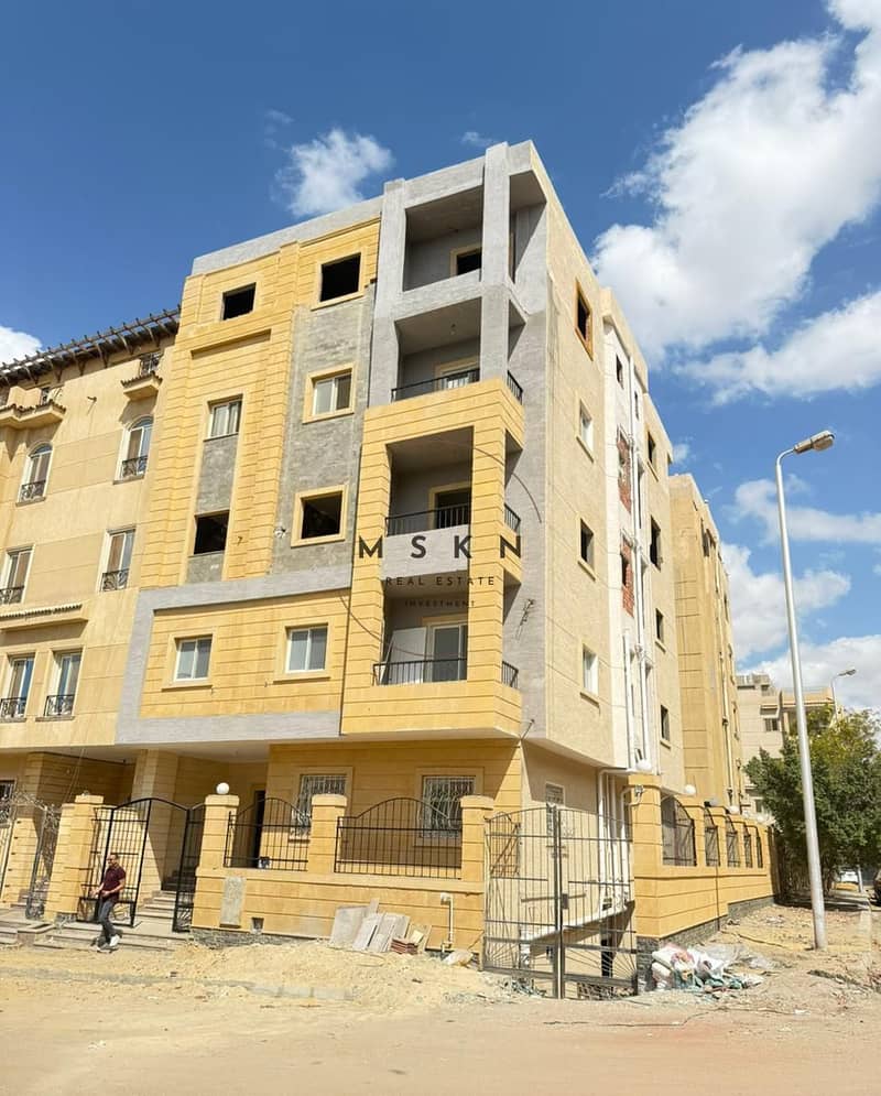 3 photo_2025-12-26 01.51. 02. jpeg