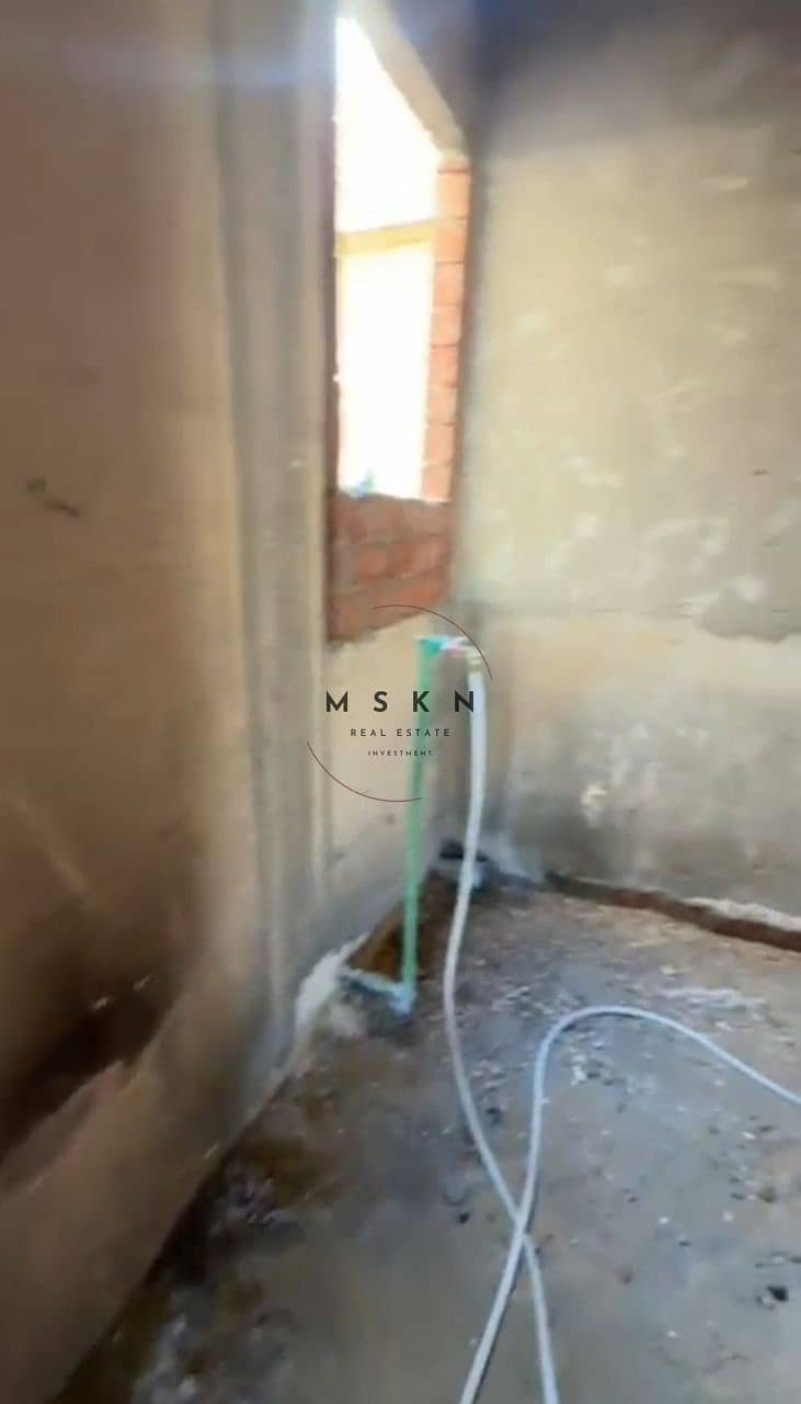 8 photo_2025-12-26 01.51. 09. jpeg